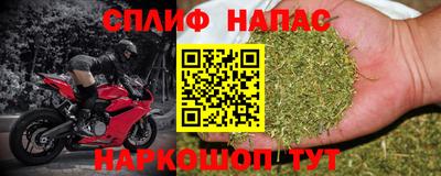 эйфоретик Аргун