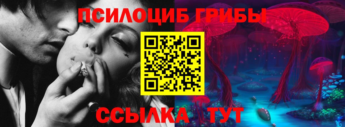 Галлюциногенные грибы прущие грибы Видное